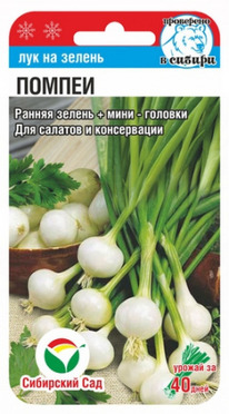 ��� �� ������ ������