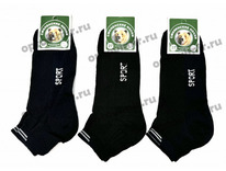 ������� ����� ���������� � �������� ������ Sport