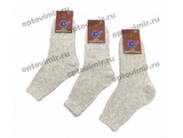 ����� ���+ ����� �������� ���������� ����������� ������� ���