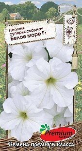 ������� ����� ���� F1 �������������� 10��