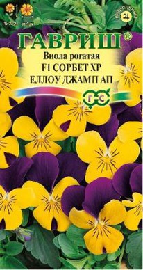 ������ XP ����� ����� �� F1 ����� ������� �����������