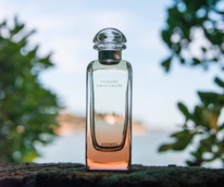 Hermes Un Jardin sur la Lagune ������ 35% �� 28.02.