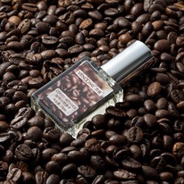 (������� � �������� 30-40%) ����������� ���� � �������� ���� Vendome, 10 ��.