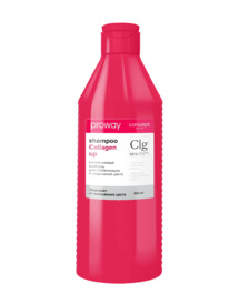 CONCEPT ProWay ������� �/����� ������������ ��� ������������ � ���������� �����,