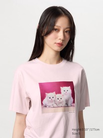 uniqlo CAT PHOTOGRAPHS UT Graphic T-Shirt