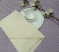 ������� ��������� ��������� ���������� 245�/�2 �������