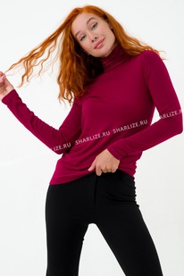 ���������, ���. 0263-12