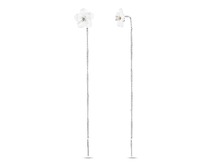 ������, ���������, BY-4327