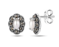 ������, �������� , ���������, SL-LNJ342