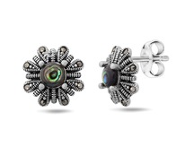 ������, �������� , ��������� ������, SL-LNJ338