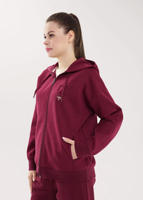 Clever   CLE LJ15-100 .