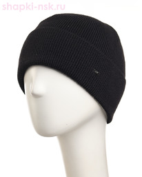 19830 Orion   (57-59)