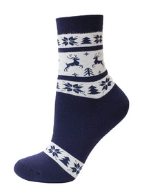 ��������� ����� ARCTIC 1408 (��������)