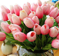 ������������� �����,�������� ��������,����� �� �����,�� 111�