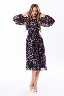  Golden Valley 44269 -