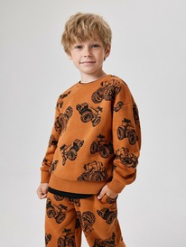 Acoola     Polaris 20120170194 