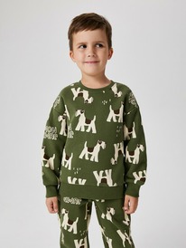 Acoola     Polaris 20120170194 