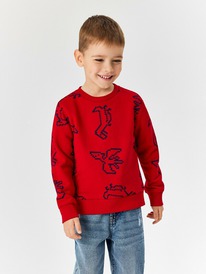 Acoola     Zvezda_sw 20120170178 