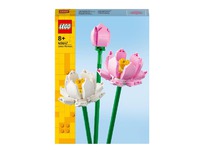lidl 40647 Lotusblumen