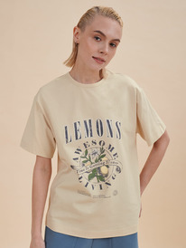 Pelican   DFT6933/3U 