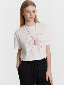 Mark Formelle  112934 112934  + 18114