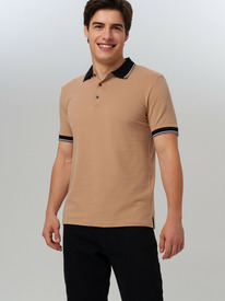 PlayToday        32556071