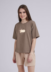 Clever   CLE LP14-1114/1 /.