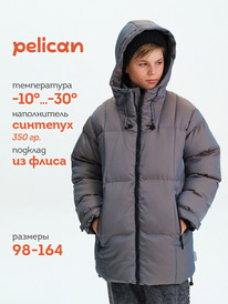 Pelican ������ ��� ��������� BZWZ3377 �����