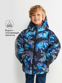 Acoola ������ ������� ��� ��������� Tsolern2 20120650032 �������