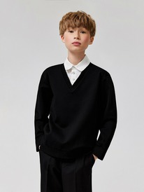 Acoola ������� ������� ��� ��������� Arlo 20140170011 ������