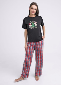 Clever     CLE LF14-1141/3 