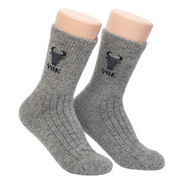 ����� ���������