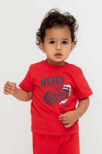   23.12  Crockid  () /   302719/ 548