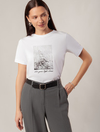 Vilatte �������� �� ������������ ������ � ��������� ������� D49.110 �����_light 