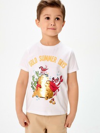 13.01 Acoola �������� ������� ��� ��������� Sprat 20120510231 �����