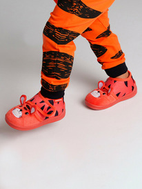 13.01 PlayToday ������� ��� ��������� 42319002