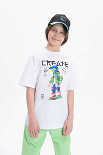 13.01 Pelican �������� ��� ��������� BFT3369/4 �����