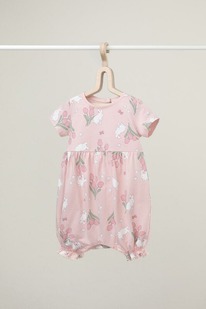 Crockid �������������� (��������) �� � 6495/����������� ������,������� � �������