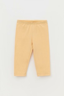 Crockid ������ �/��� �� �� 4321/������� ������ �481