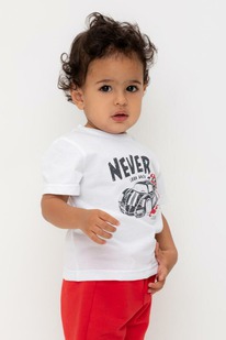 Crockid ������� (��������) �/��� �� �� 302719/����� �548