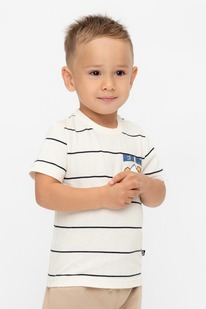 Crockid ������� (��������) �/��� �� �� 302753/�������,������,������� �568