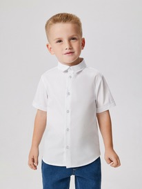 Acoola ������� ������� ������� ��� ��������� Yan 20120280189 �����