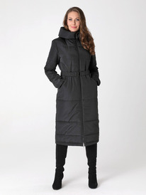 ������ DizzyWay 24303 ������