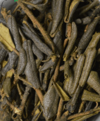 ����� ������ � � 50 �