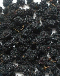 �������� ������ (���������)� � � �100 ��