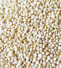 ����� ���. 0,5 ��