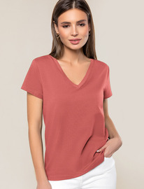 Vilatte �������� �� ������������ ������ � V-�������� ������� D49.109 ���������