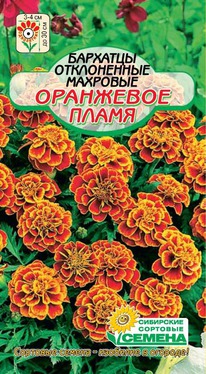 �������� ��������� �����