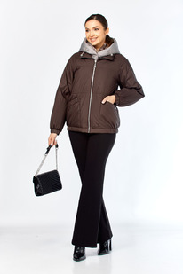 ������ SHETTI 2213 �������