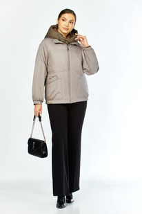 ������ SHETTI 2213 ������-�����